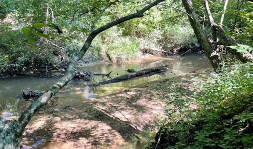 Photo #45 of SOLD property in 4118 Burkeville Road, Victoria, VA 227.8 acres