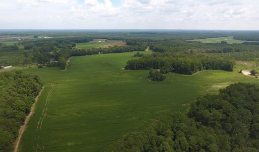 Photo #2 of SOLD property in NC 20 Hwy, Saint Pauls, NC 207.6 acres