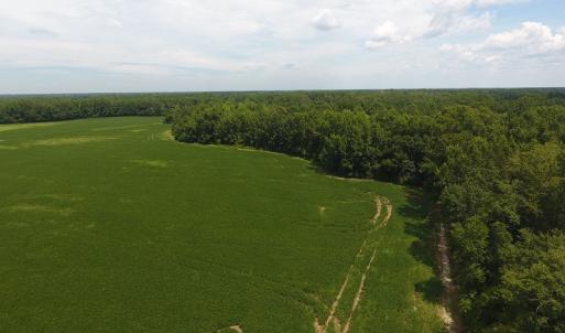 Photo #11 of SOLD property in NC 20 Hwy, Saint Pauls, NC 207.6 acres