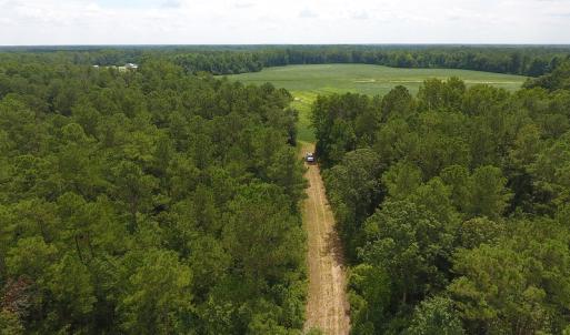Photo #12 of SOLD property in NC 20 Hwy, Saint Pauls, NC 207.6 acres