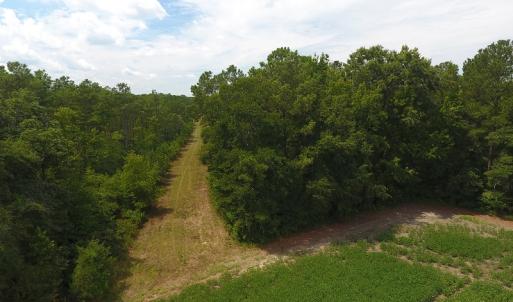Photo #13 of SOLD property in NC 20 Hwy, Saint Pauls, NC 207.6 acres