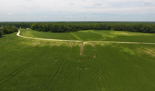 Photo #14 of SOLD property in NC 20 Hwy, Saint Pauls, NC 207.6 acres