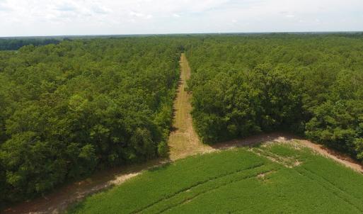 Photo #15 of SOLD property in NC 20 Hwy, Saint Pauls, NC 207.6 acres
