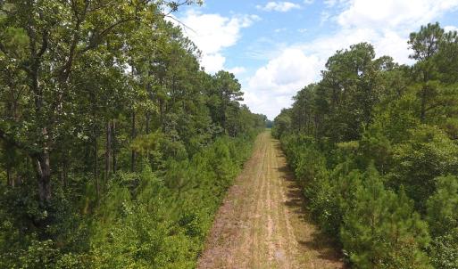 Photo #3 of SOLD property in NC 20 Hwy, Saint Pauls, NC 207.6 acres