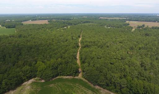 Photo #4 of SOLD property in NC 20 Hwy, Saint Pauls, NC 207.6 acres