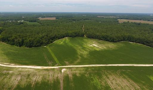 Photo #5 of SOLD property in NC 20 Hwy, Saint Pauls, NC 207.6 acres