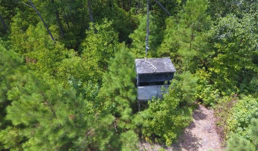 Photo #6 of SOLD property in NC 20 Hwy, Saint Pauls, NC 207.6 acres