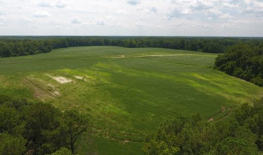 Photo #7 of SOLD property in NC 20 Hwy, Saint Pauls, NC 207.6 acres