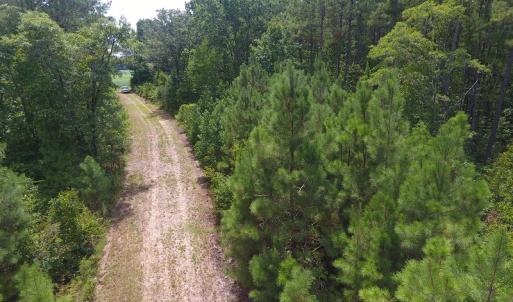 Photo #8 of SOLD property in NC 20 Hwy, Saint Pauls, NC 207.6 acres