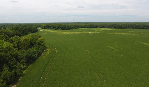 Photo #10 of SOLD property in NC 20 Hwy, Saint Pauls, NC 207.6 acres