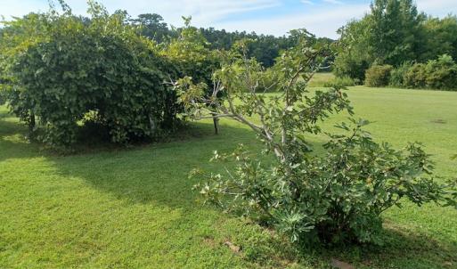 Photo #17 of 143 Clark Road, Newport, NC 19.1 acres