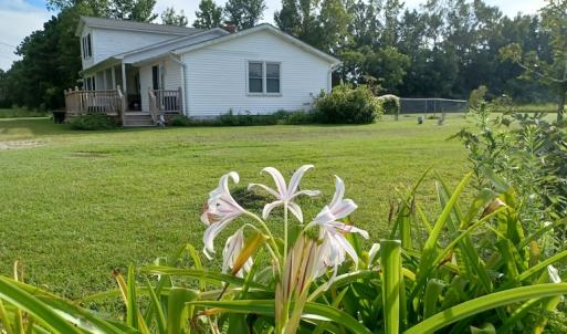 Photo #25 of 143 Clark Road, Newport, NC 19.1 acres