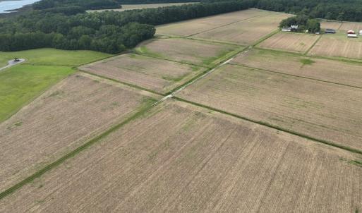 Photo #13 of Off Winfield Lane, Pinetown, NC 1.3 acres