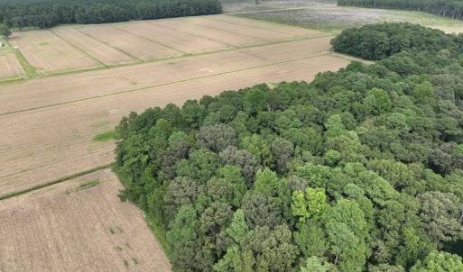 Photo #14 of Off Winfield Lane, Pinetown, NC 1.3 acres
