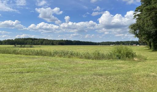 Photo #5 of Off Winfield Lane, Pinetown, NC 1.3 acres