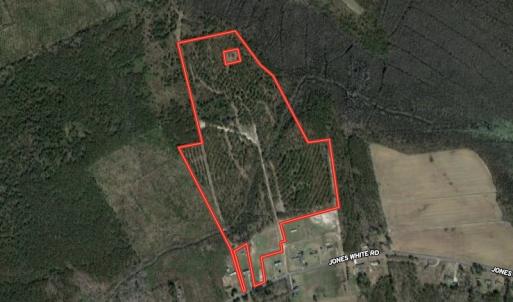 Photo #1 of SOLD property in 653 Jones White Road, Roper, NC 46.8 acres