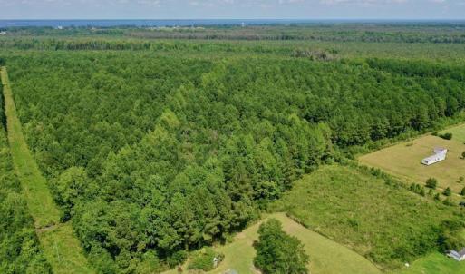 Photo #4 of SOLD property in 653 Jones White Road, Roper, NC 46.8 acres