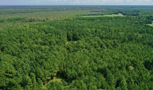 Photo #7 of SOLD property in 653 Jones White Road, Roper, NC 46.8 acres