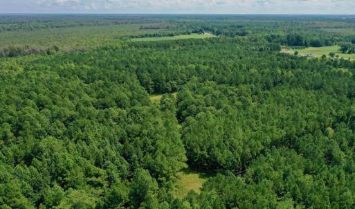 Photo #8 of SOLD property in 653 Jones White Road, Roper, NC 46.8 acres
