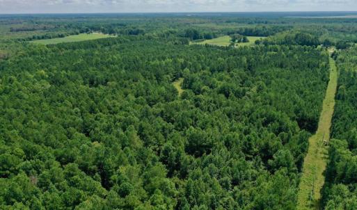 Photo #9 of SOLD property in 653 Jones White Road, Roper, NC 46.8 acres