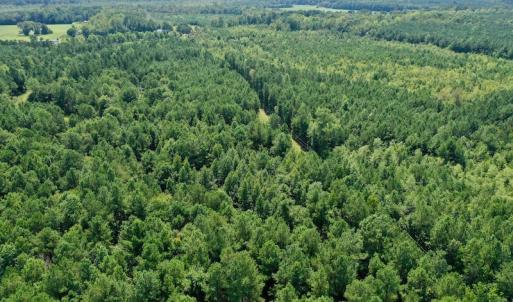 Photo #10 of SOLD property in 653 Jones White Road, Roper, NC 46.8 acres