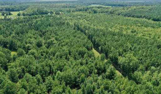 Photo #11 of SOLD property in 653 Jones White Road, Roper, NC 46.8 acres