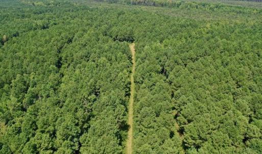 Photo #12 of SOLD property in 653 Jones White Road, Roper, NC 46.8 acres