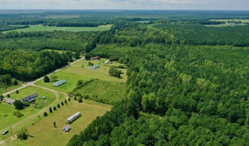 Photo #14 of SOLD property in 653 Jones White Road, Roper, NC 46.8 acres
