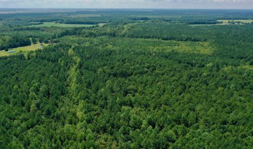 Photo #16 of SOLD property in 653 Jones White Road, Roper, NC 46.8 acres