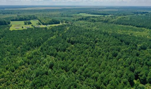 Photo #17 of SOLD property in 653 Jones White Road, Roper, NC 46.8 acres