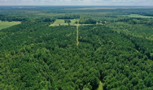 Photo #18 of SOLD property in 653 Jones White Road, Roper, NC 46.8 acres