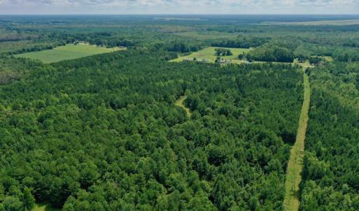 Photo #19 of SOLD property in 653 Jones White Road, Roper, NC 46.8 acres