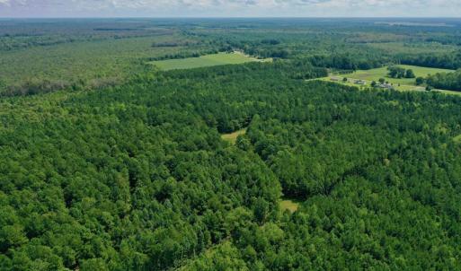Photo #20 of SOLD property in 653 Jones White Road, Roper, NC 46.8 acres