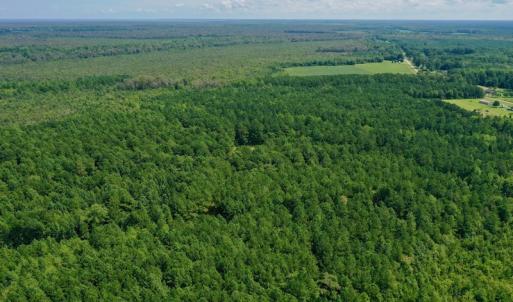 Photo #21 of SOLD property in 653 Jones White Road, Roper, NC 46.8 acres