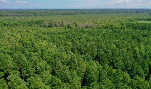 Photo #22 of SOLD property in 653 Jones White Road, Roper, NC 46.8 acres
