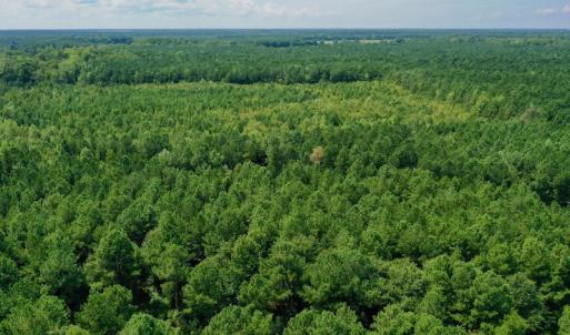 Photo #24 of SOLD property in 653 Jones White Road, Roper, NC 46.8 acres