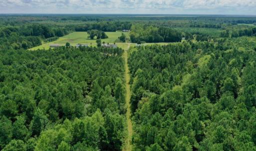 Photo #25 of SOLD property in 653 Jones White Road, Roper, NC 46.8 acres