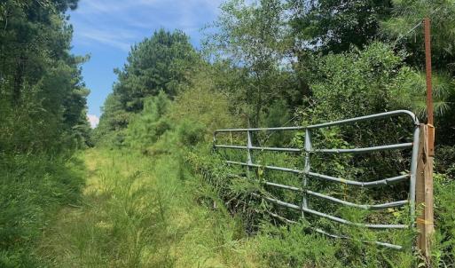 Photo #28 of SOLD property in 653 Jones White Road, Roper, NC 46.8 acres