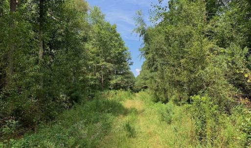 Photo #31 of SOLD property in 653 Jones White Road, Roper, NC 46.8 acres