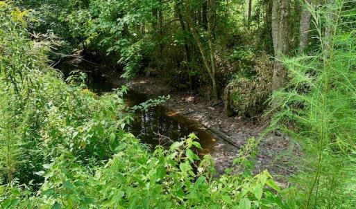 Photo #32 of SOLD property in 653 Jones White Road, Roper, NC 46.8 acres