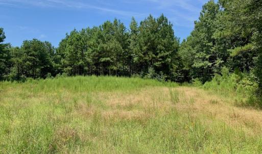 Photo #33 of SOLD property in 653 Jones White Road, Roper, NC 46.8 acres