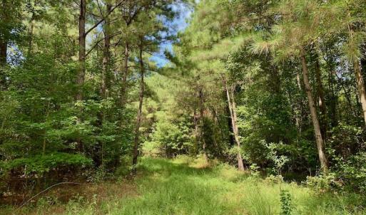 Photo #42 of SOLD property in 653 Jones White Road, Roper, NC 46.8 acres