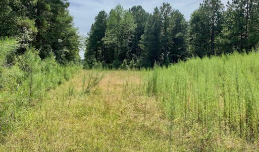 Photo #43 of SOLD property in 653 Jones White Road, Roper, NC 46.8 acres