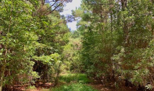 Photo #45 of SOLD property in 653 Jones White Road, Roper, NC 46.8 acres