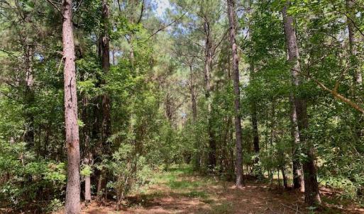Photo #48 of SOLD property in 653 Jones White Road, Roper, NC 46.8 acres