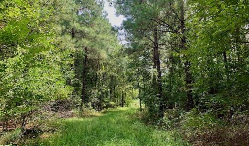 Photo #54 of SOLD property in 653 Jones White Road, Roper, NC 46.8 acres