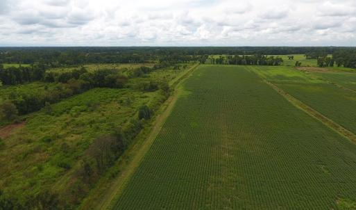 Photo #2 of SOLD property in Off Locklin Pocosin Road, Rose Hill, NC 63.0 acres
