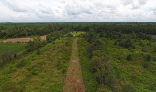 Photo #11 of SOLD property in Off Locklin Pocosin Road, Rose Hill, NC 63.0 acres