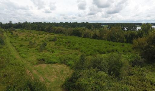 Photo #12 of SOLD property in Off Locklin Pocosin Road, Rose Hill, NC 63.0 acres