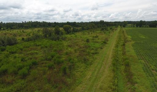 Photo #13 of SOLD property in Off Locklin Pocosin Road, Rose Hill, NC 63.0 acres